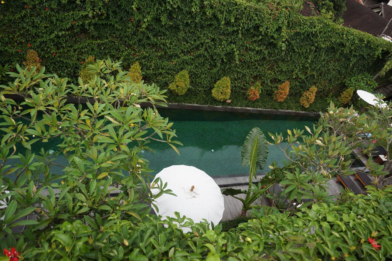 Sapodilla Ubud Dış mekan fotoğraf
