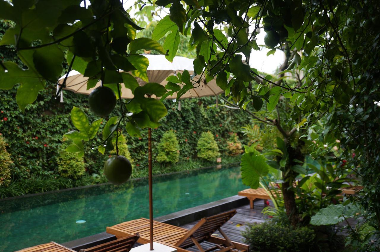 Sapodilla Ubud Dış mekan fotoğraf